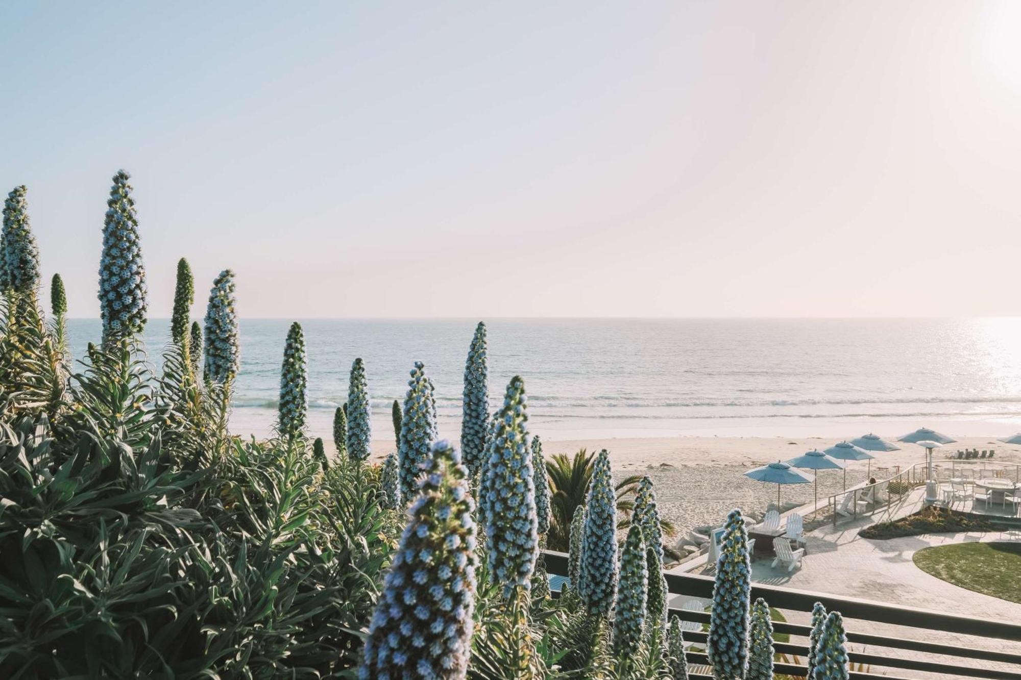 Waldorf Astoria Monarch Beach Resort & Club Dana Point Εξωτερικό φωτογραφία